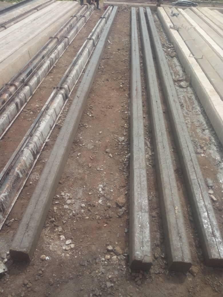 Concrete poles laid out in rows in the casting yard